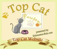 top-cat-award-1