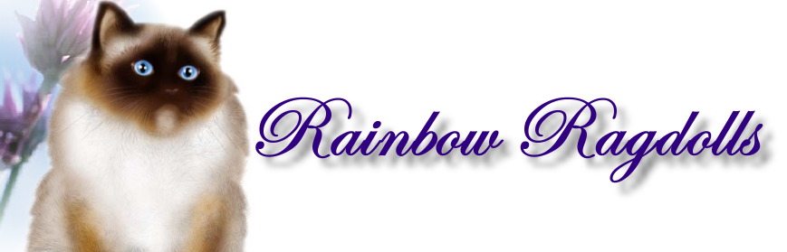 Rainbow Ragdolls Cattery
